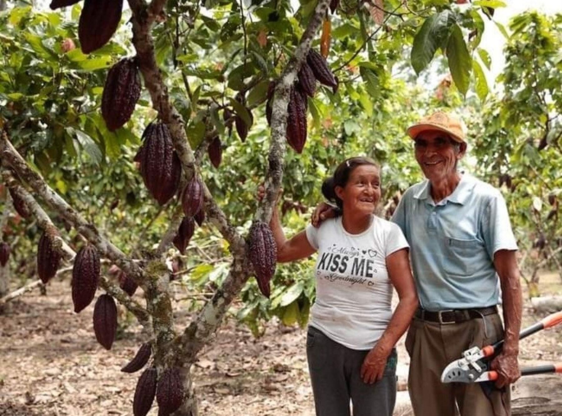 San Martín: más de 129,000 familias se benefician con proyectos productivos agrícolas