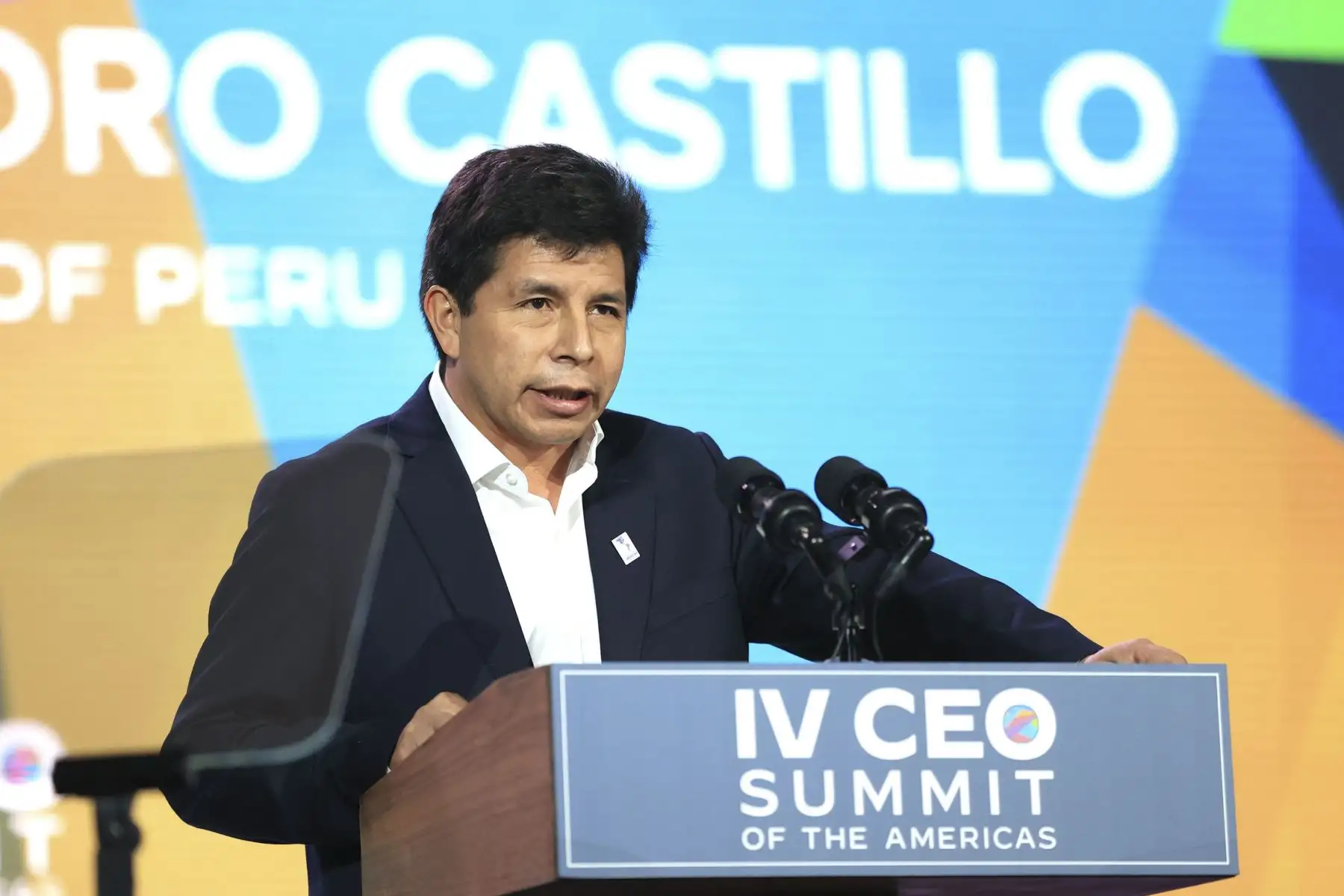 Foto: ANDINA/difusión.
