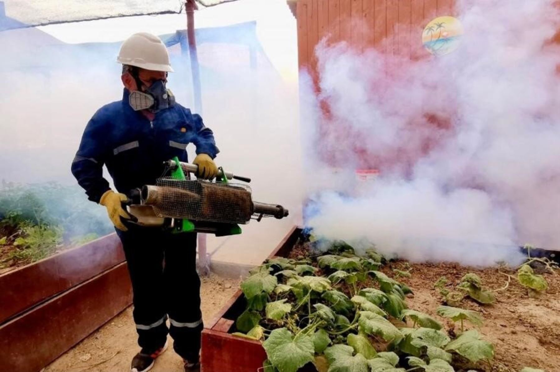 Minsa realiza fumigación en más de 9500 viviendas para prevenir casos de dengue.