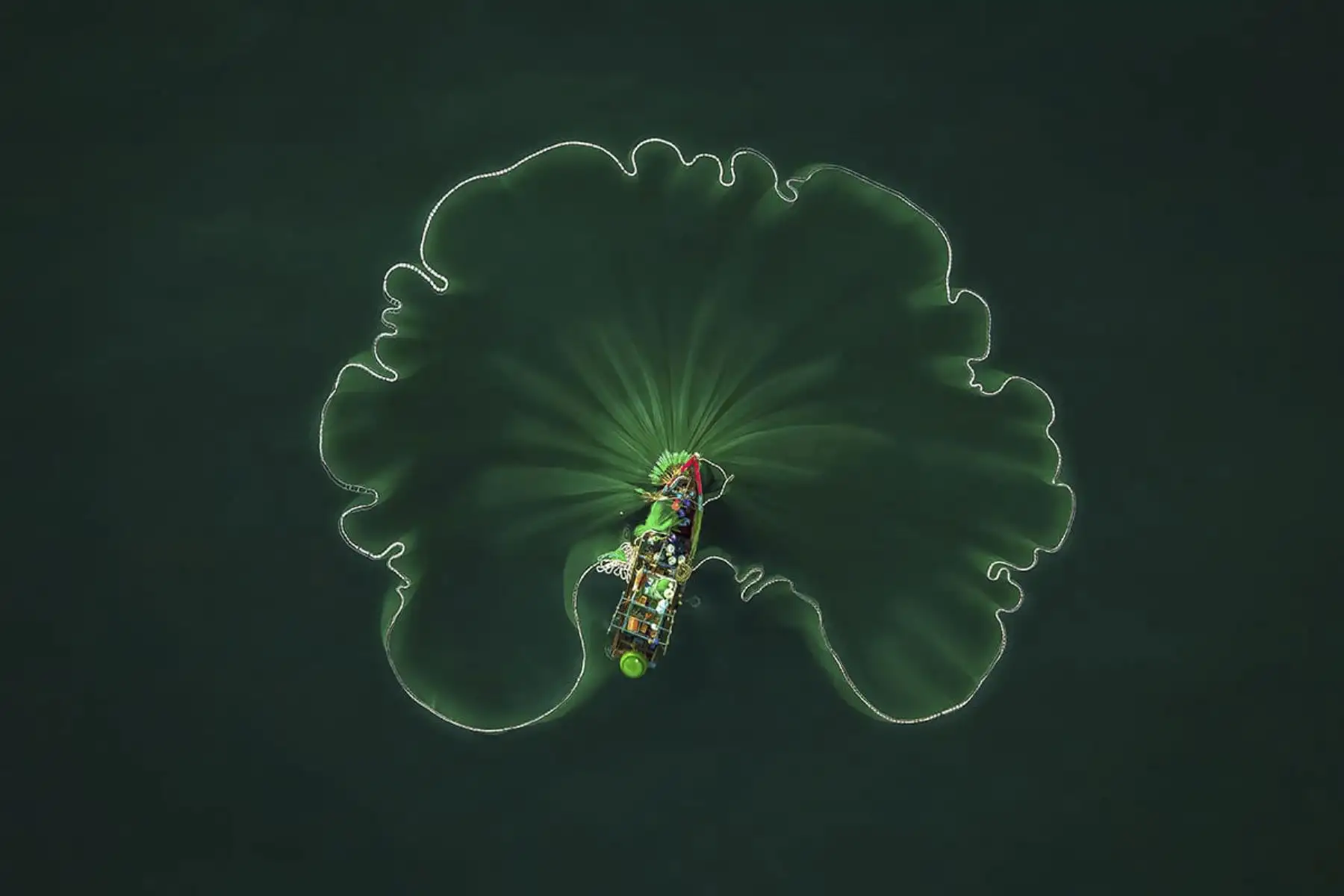 Vietnam (Nguyen-vu, Cao)
"Hoja de loto del océano" es el nombre de esta foto, que obtuvo el primer premio en la categoría "Paisajes sobre agua". La imagen capta los desafíos y la belleza del día a día de los pescadores en la provincia vietnamita de Quang Ngain. Foto: Nguyen-vu, Cao/ ONU World Oceans Day