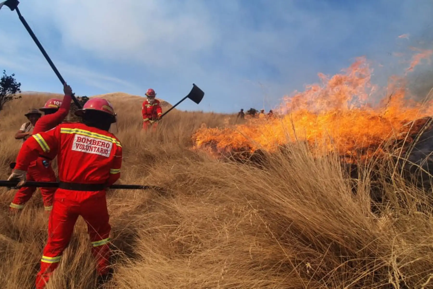 Según reportes del Serfor, en el 2021 se registraron en total 7,104 incendios forestales que afectaron 191,014 hectáreas.