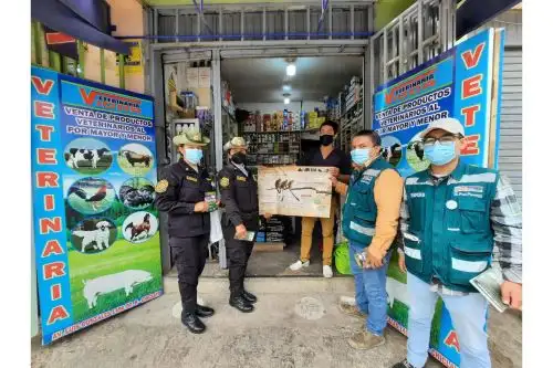 lambayeque: serfor rescata a más de 75 especimenes silvestres del trafico ilegal