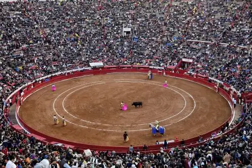La decisión aún puede ser impugnada por los organizadores de los espectáculos. Foto: AFP