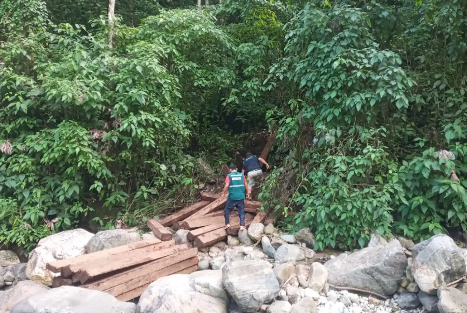 El Serfor, a través de la Administración Técnica Forestal y de Fauna Silvestre, en su sede Pichari, hizo la intervención al interior del bosque natural del Centro Poblado Tahuantinsuyo Lobo, con el fin de frenar la deforestación, contaminación de los ríos y el deterioro de la biodiversidad.