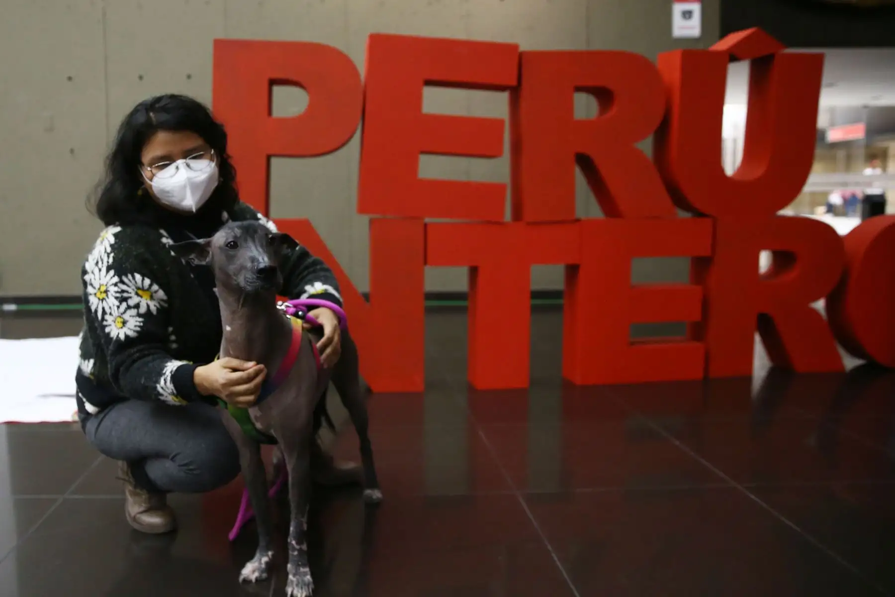 Conmemoración por el día del perro peruano. Perritos con pelo y sin pelo desfilaron  con sus dueños en el Hall del Ministerio de Cultura.
Foto: ANDINA/Carla Patiño Ramírez