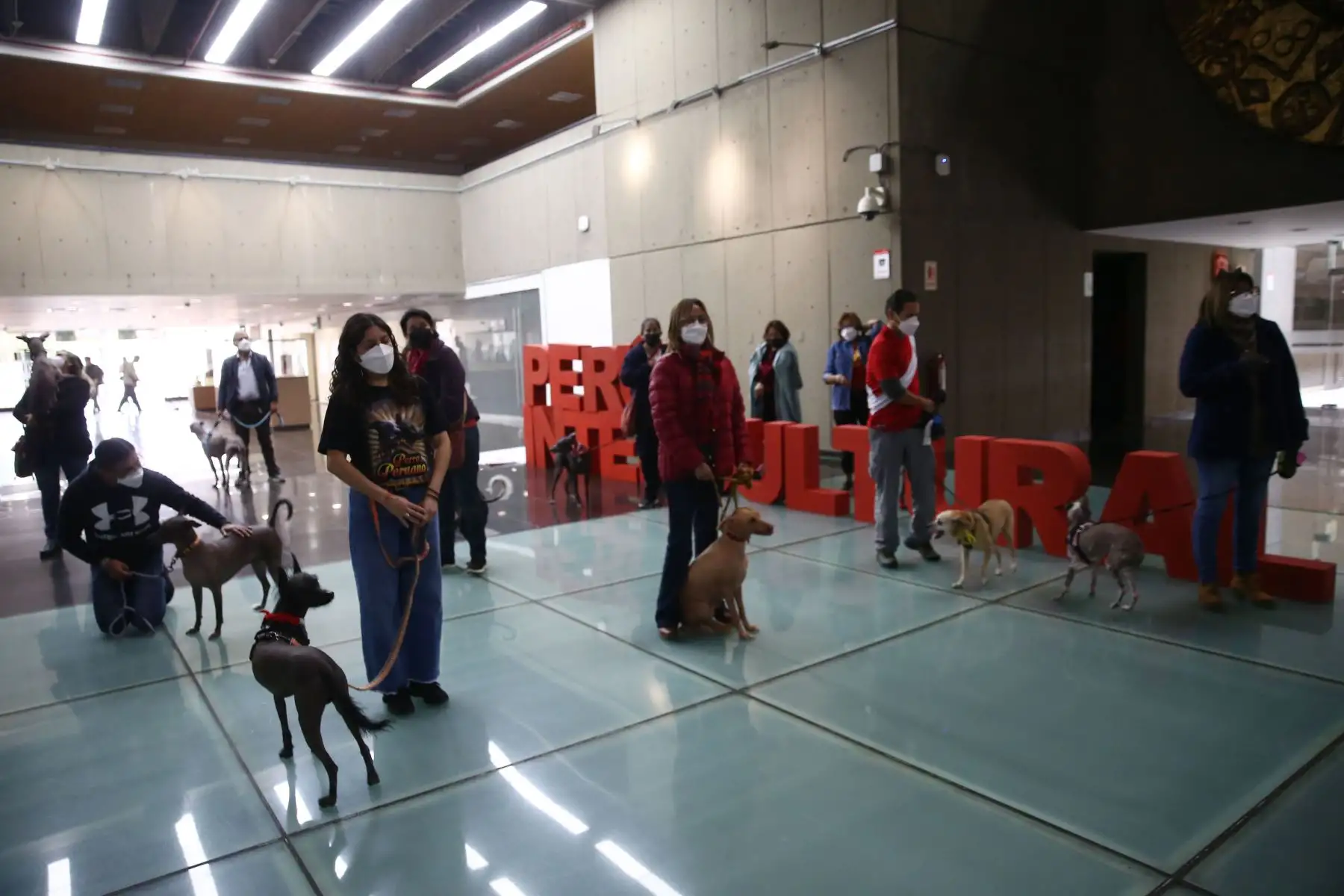 Conmemoración por el día del perro peruano. Perritos con pelo y sin pelo desfilaron  con sus dueños en el Hall del Ministerio de Cultura.
Foto: ANDINA/Carla Patiño Ramírez