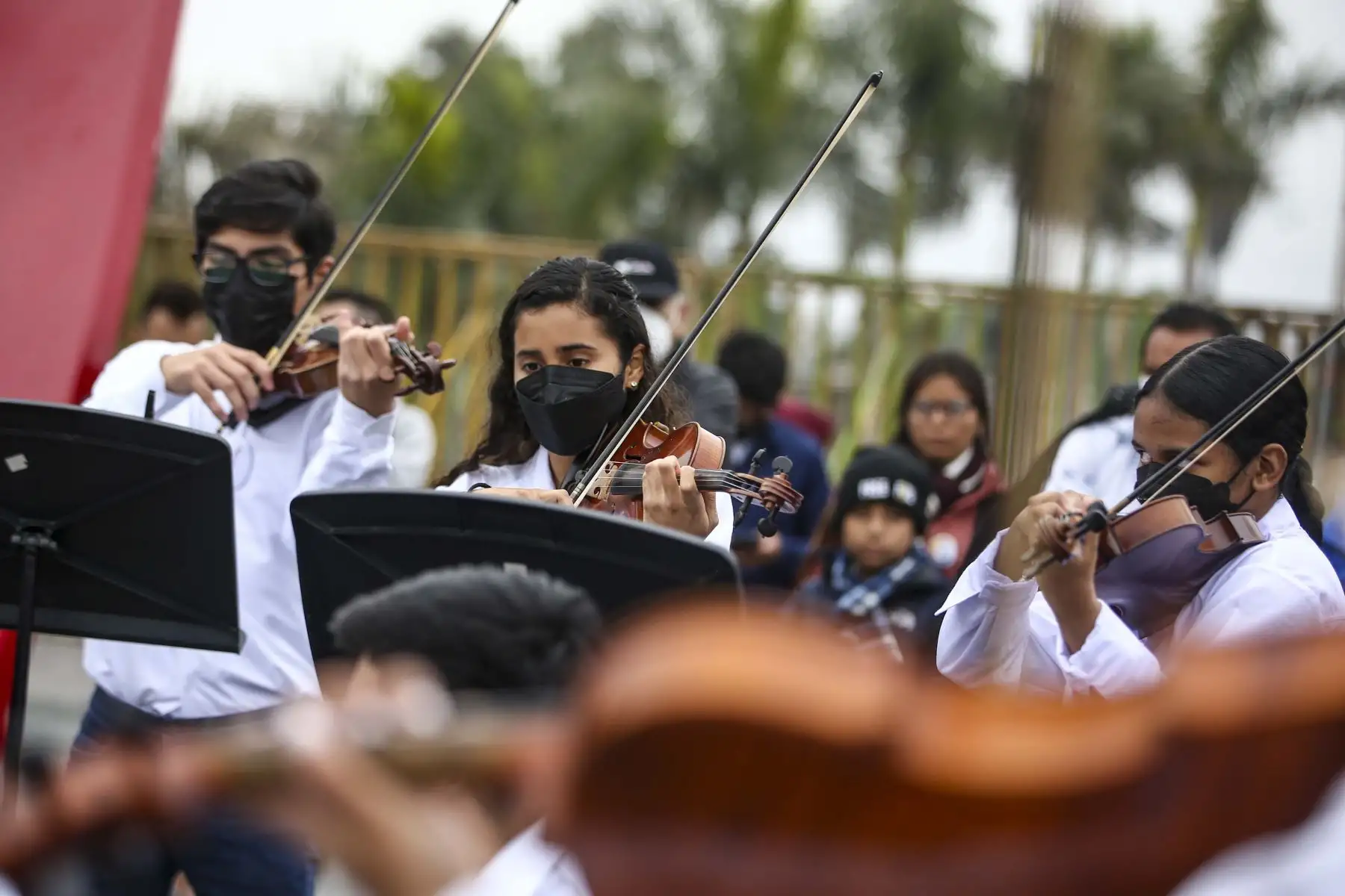 Orquesta Sinfonía por el Perú desarrolló una puesta en escena gratuita con repertorio peruano en la Alameda Chabuca Granda.
Foto: ANDINA/Carla Patiño Ramírez