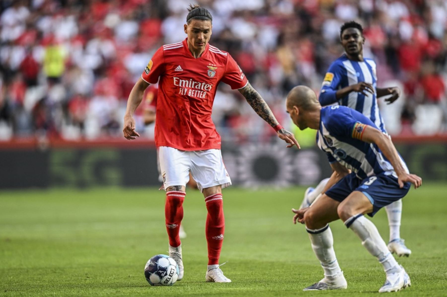 Darwin Núñez jugará por el Liverpool tras ser traspasado del Benfica de Portugal