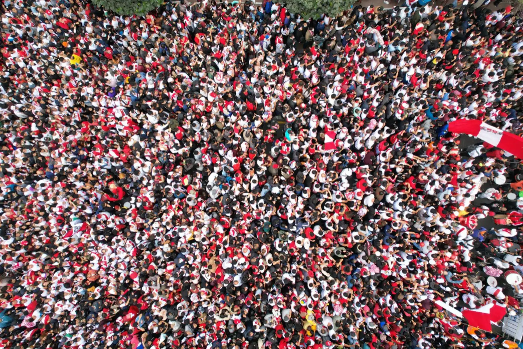 Cientos de hinchas llegaron al parque Kennedy de Miraflores para alentar a la Selección Peruana a pocas horas del partido de repechaje ante Australia rumbo a Qatar 2022. 
Foto: ANDINA/Andrés Valle

Foto: ANDINA/Andrés Valle