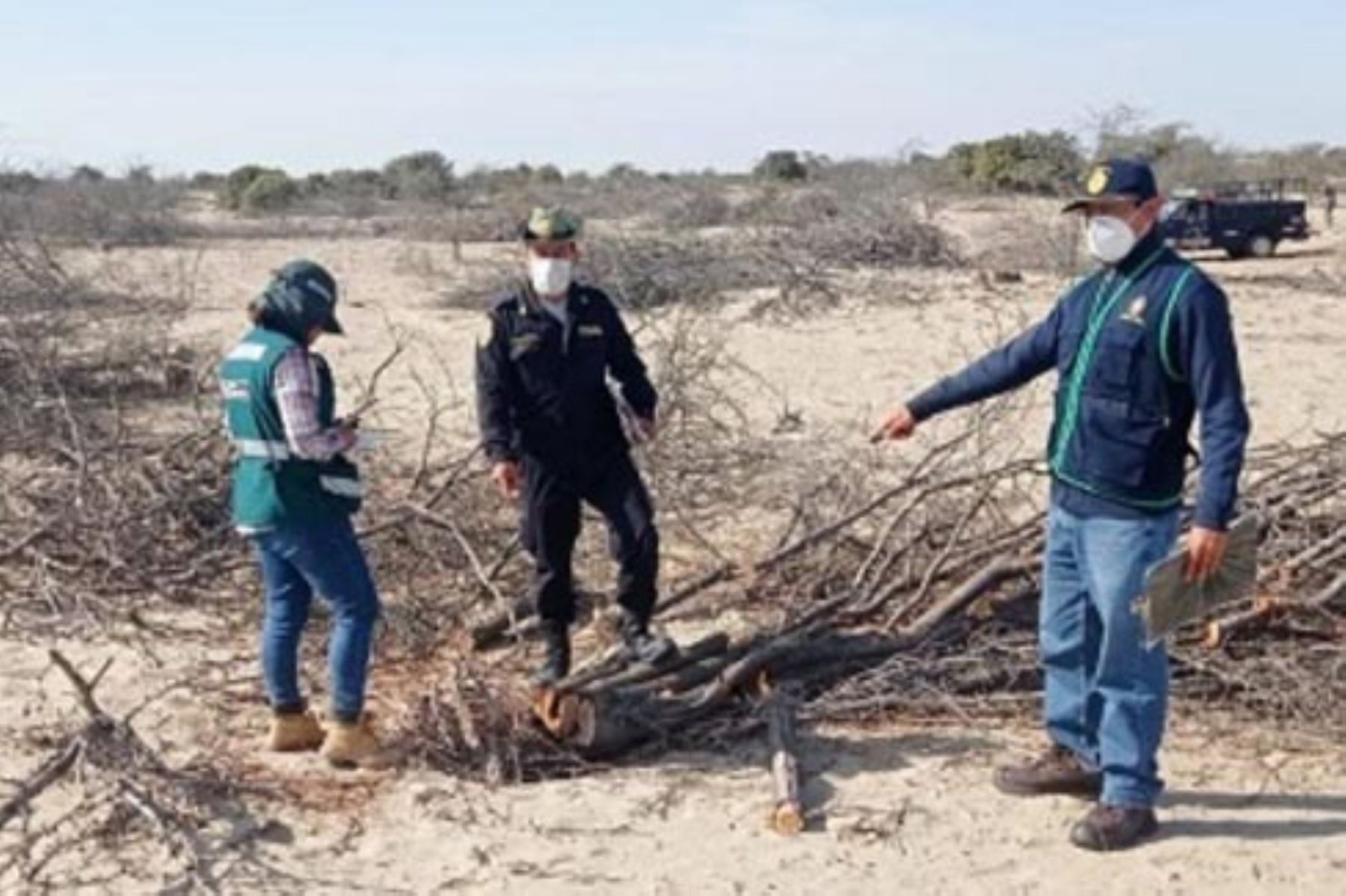 Catacaos: fiscalía interviene a 6 personas y decomisa equipos de tala ilegal