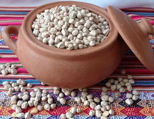 Qali Warma promueve el consumo de garbanzo, la nutritiva menestra que destaca por su gran aporte en proteínas y hierro.