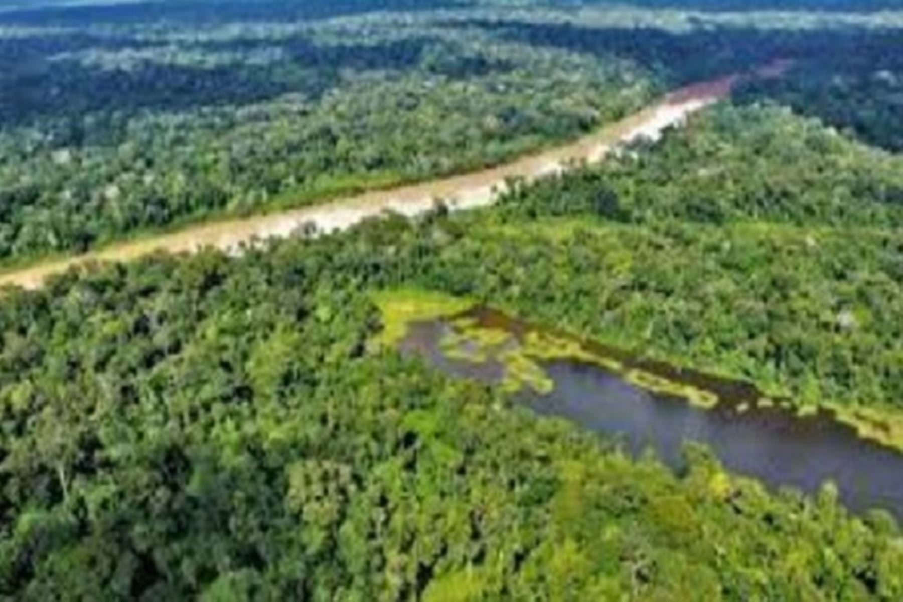 Minam y Midagri reducirán deforestación y mitigarán cambio climático en la Amazonía