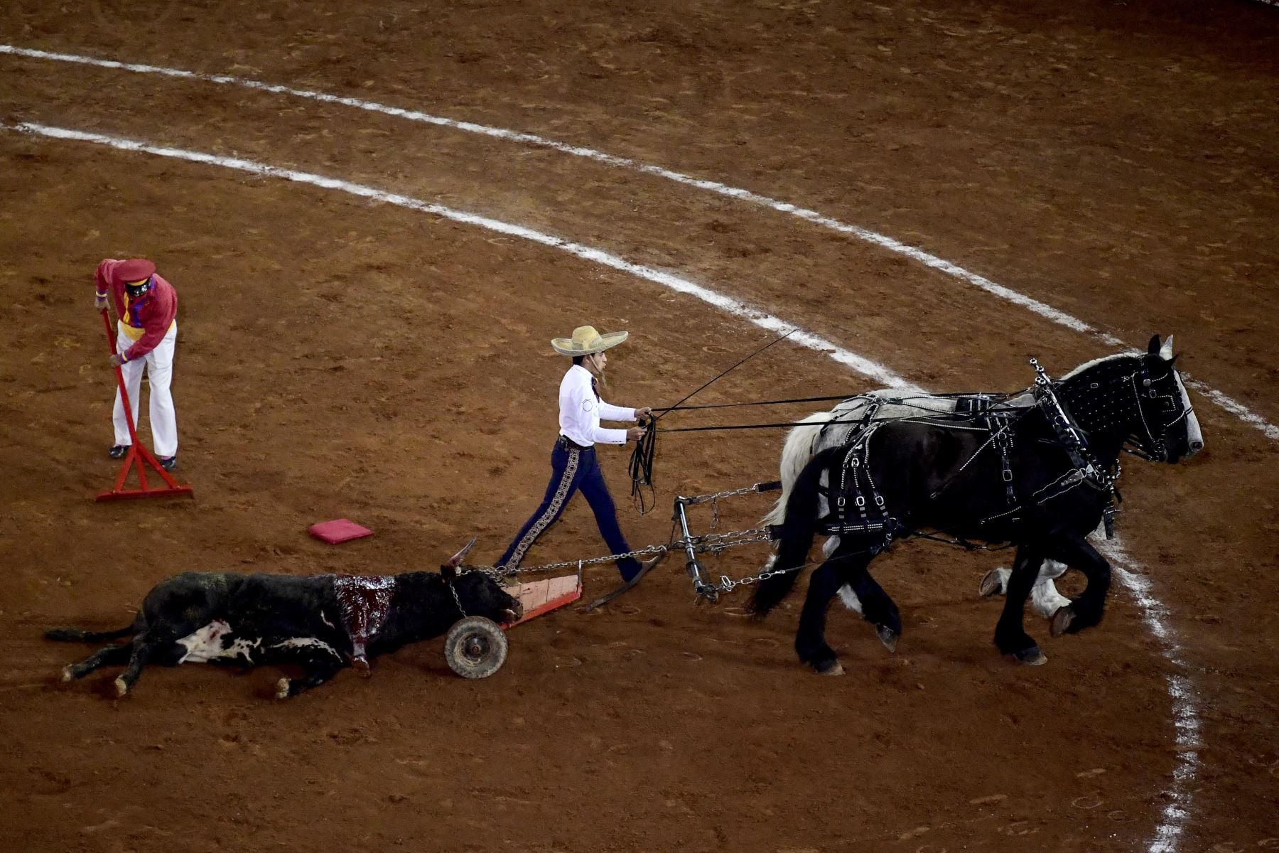 Un juez federal ordenó este viernes la suspensión indefinida de las corridas de toros en la Plaza México, la más grande del mundo. Foto: AFP