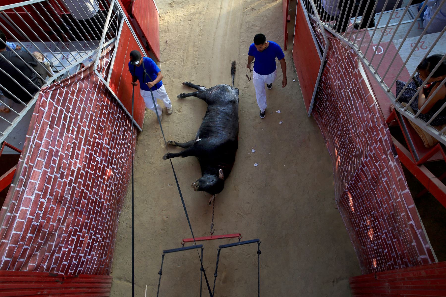 Un juez federal ordenó este viernes la suspensión indefinida de las corridas de toros en la Plaza México, la más grande del mundo. Foto: AFP