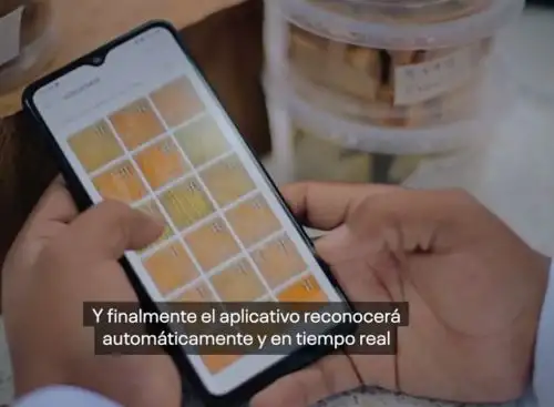 Conoce MaderApp, el ingenioso aplicativo móvil que ayudará al Serfor a identificar madera de origen ilegal.