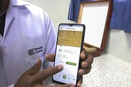 El desarrollo e investigación de la aplicación MaderApp demandó dos años a un equipo multidisciplinario. Foto: ANDINA/Difusión