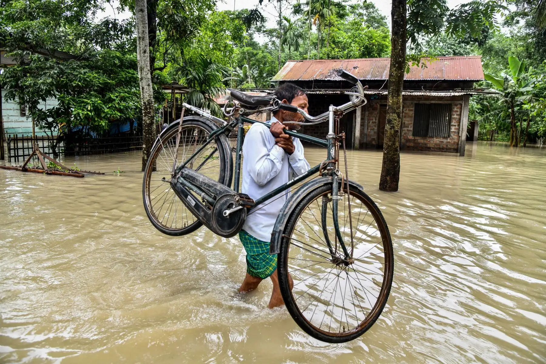 Un hombre lleva su bicicleta mientras vadea las aguas de la inundación en Solmara, en el distrito de Nalbari, en el estado indio de Assam.
Foto: AFP