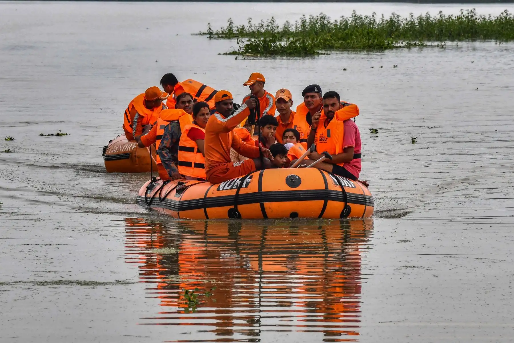 El personal de la Fuerza Nacional de Respuesta a Desastres (NDRF) rescata a los aldeanos afectados por las inundaciones en Phuthimari del distrito de Kamrup, en el estado indio de Assam.
Foto: AFP