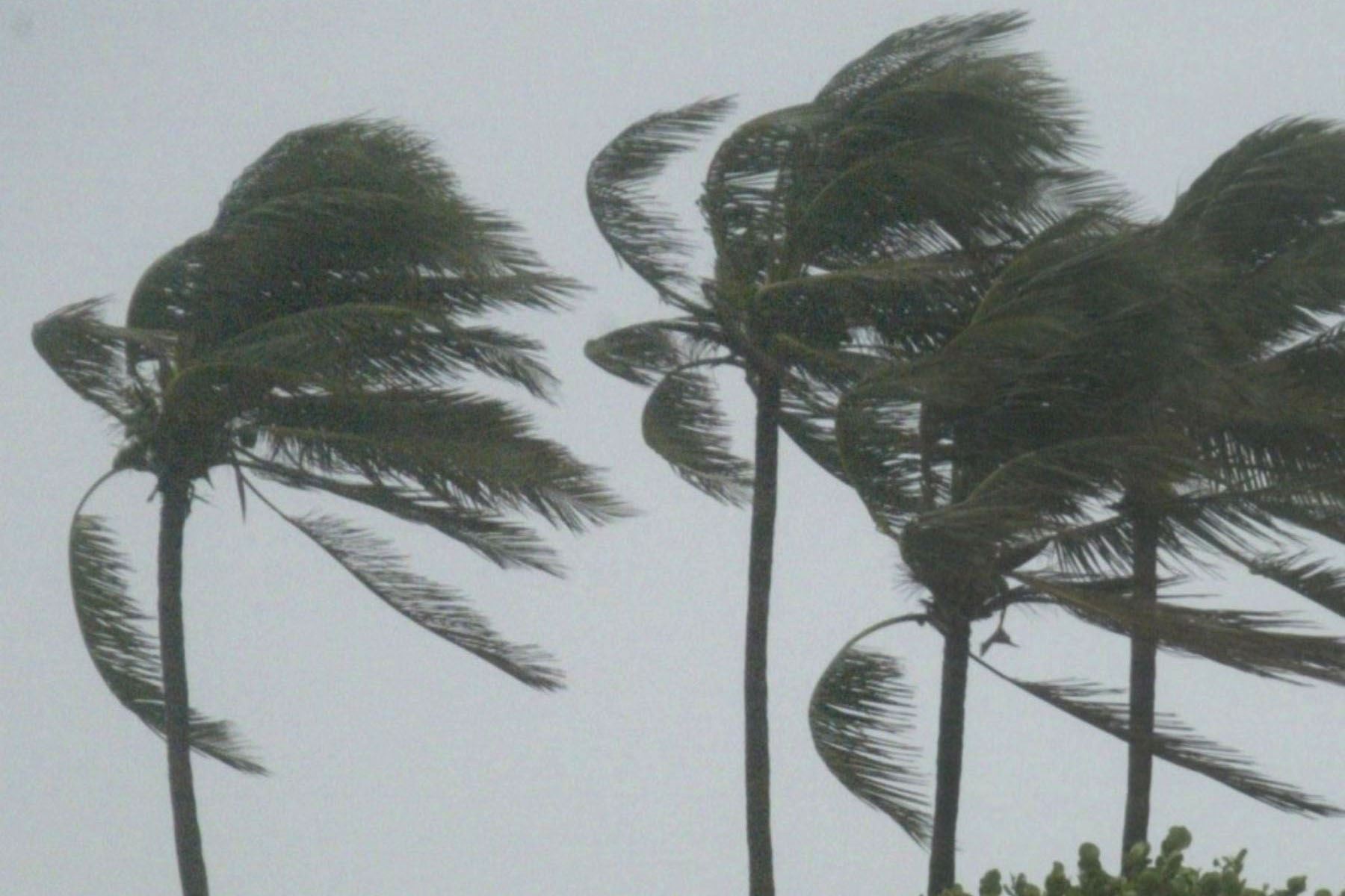Senamhi: Callao tendrá este martes vientos intensos de unos 30 km/h
