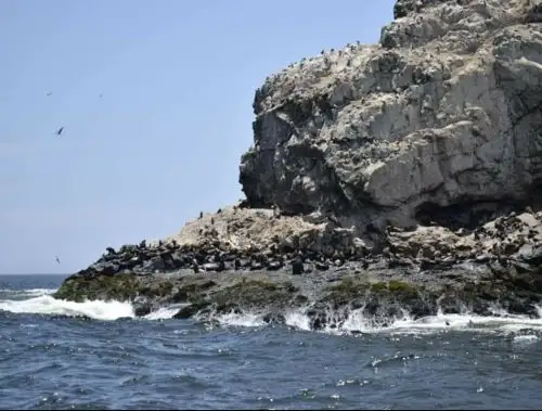 La última comunicación con los pescadores desaparecidos indica que se encontraban cerca de las islas Guañape, frente al puerto Morín, provincia de Virú, región La Libertad. ANDINA/Difusión