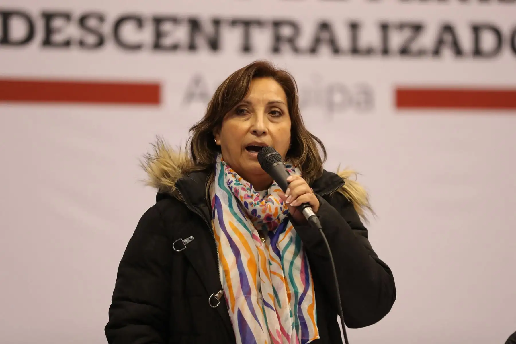 ANDINA/Difusión