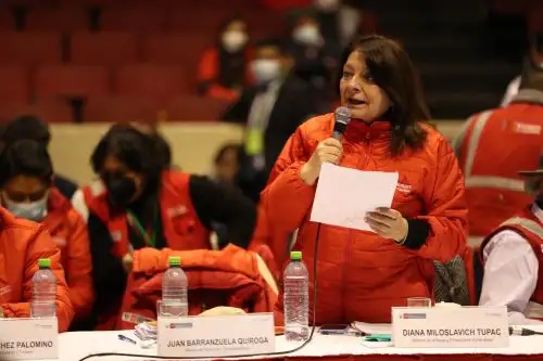 La ministra de la Mujer, Diana Miloslavich Túpac, destacó la inversión que ha hecho el Mimp en la región Arequipa para prevenir la violencia contra la mujer y garantizar la protección de niños, niñas y adolescentes sin cuidados parentales o en riesgo de perderlos. Foto: PCM.