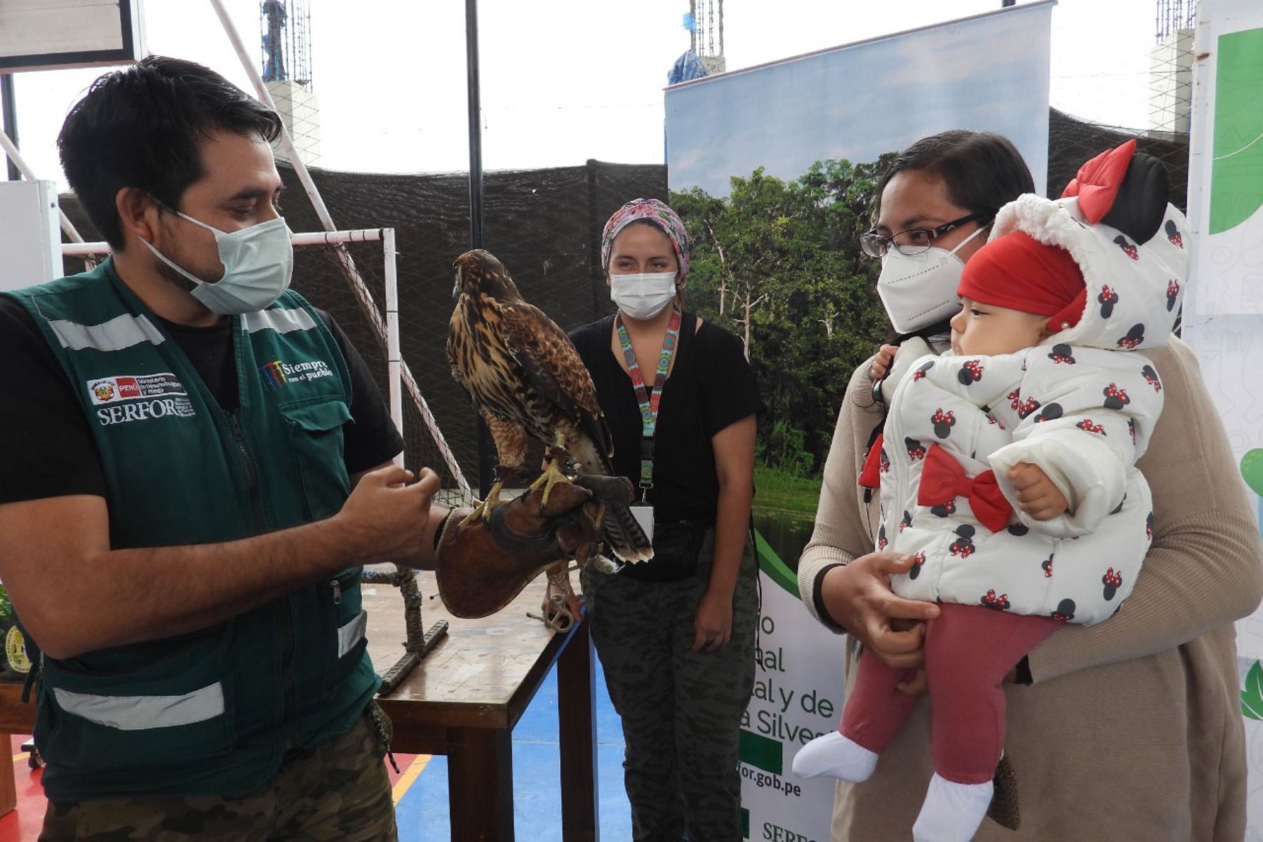 Lurín: Serfor y municipalidad ofrecen taller para escolares sobre aves rapaces