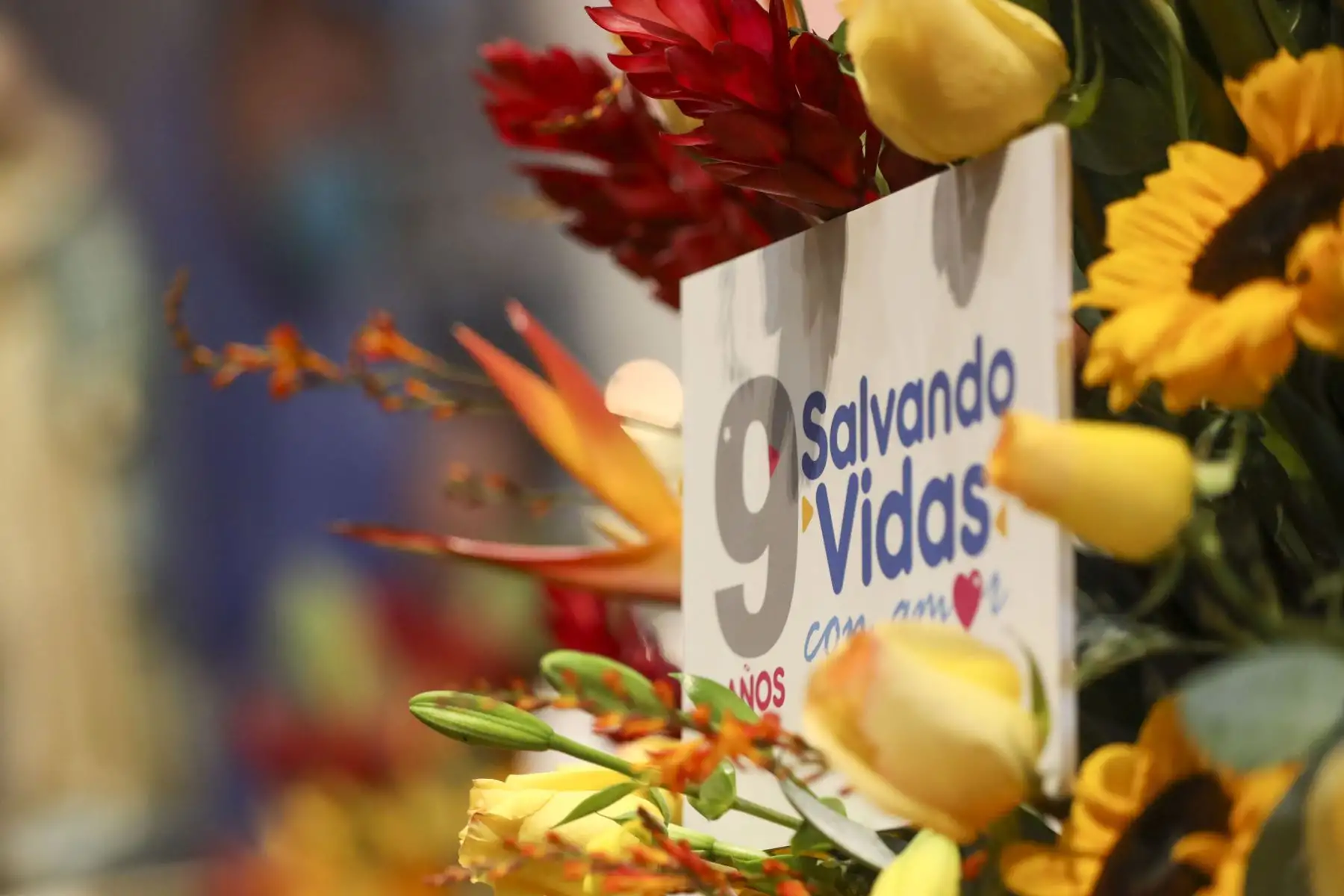 El Instituto Nacional de Salud del Niño San Borja conmemora su noveno aniversario con una emotiva ceremonia especial. Bajo el lema "Salvando vidas con amor", se realizó la actividad que contó con la presencia de la Directora General del INSN San Borja, Dra. Zulema Tomas Gonzales y su equipo de gestión, el ministro de Salud, Jorge Antonio López Peña, así como la primera dama Lilia Paredes. Foto: ANDINA/Carla Patiño