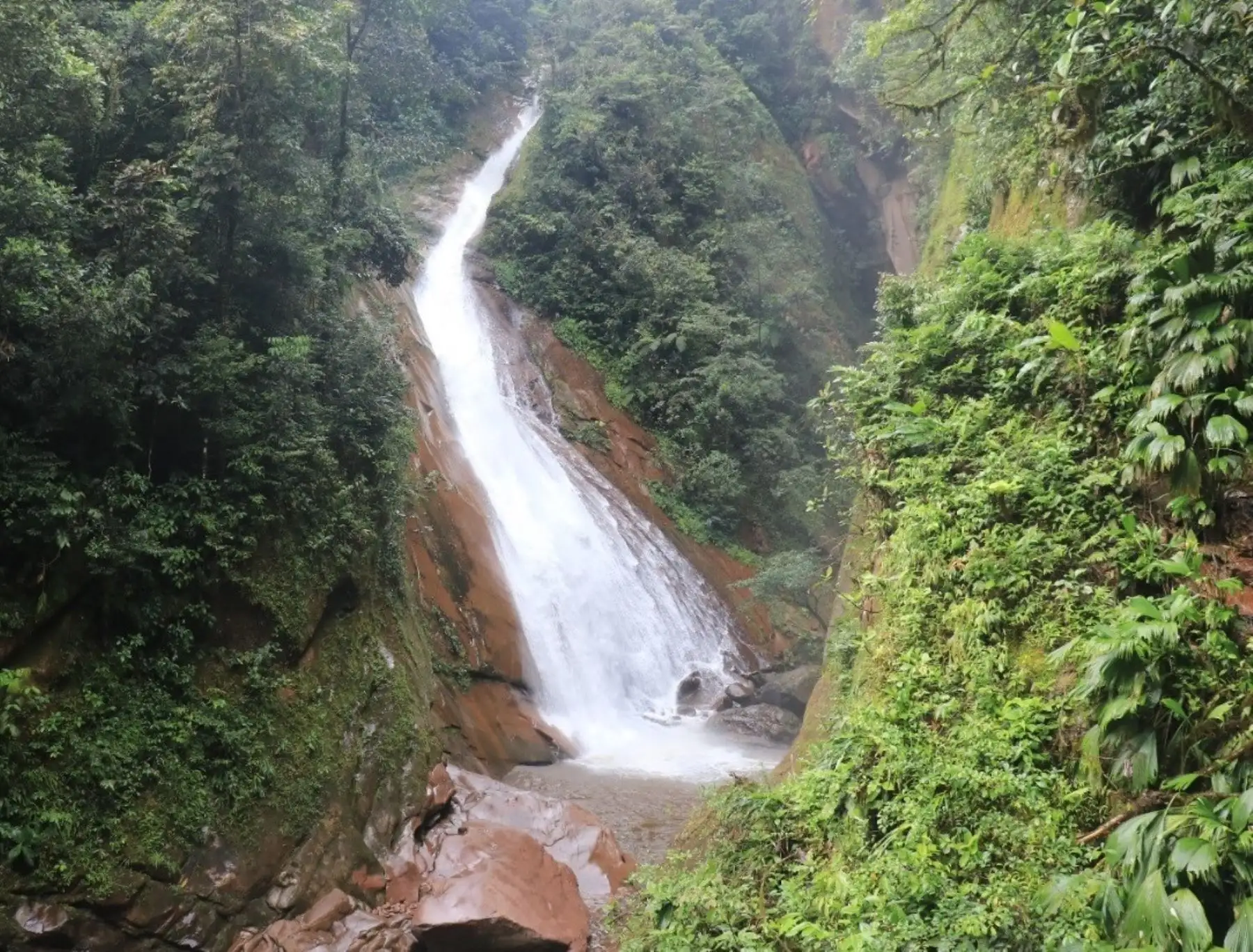 El Serfor y el Gore Ucayali unen esfuerzos para declarar como ecosistema frágil a la cadena montañosa que alberga a la catarata Velo de la Novia, por su alto valor de conservación y su gran riqueza de especies de flora y fauna.  ANDINA/Difusión