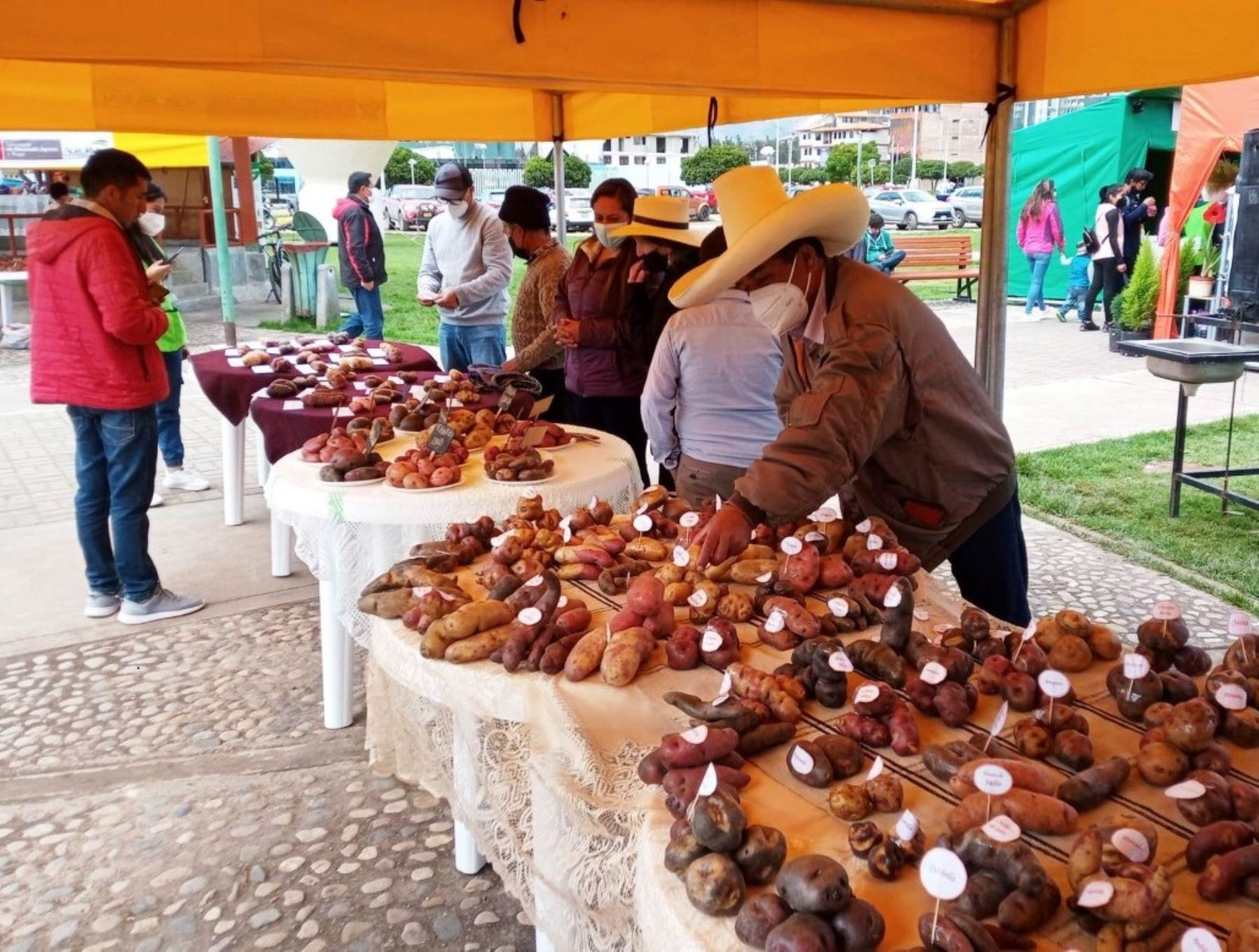 Productores de Cajamarca celebrarán el Día del Campesino con feria agropecuaria, artesanal y gastronómica. La actividad se desarrollará mañana sábado 25 y domingo 26. Foto: ANDINA/difusión.