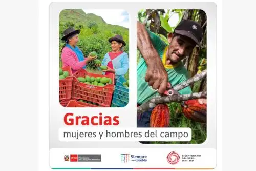 Foto: ANDINA/difusión.