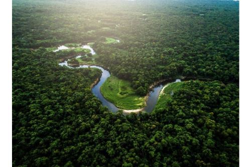 Ministerio del Ambiente realizó conversatorio sobre remediación ambiental en la Amazonía.