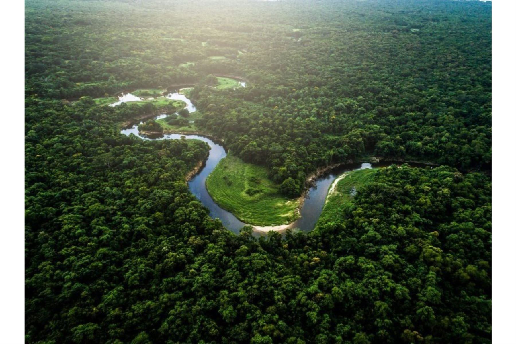 EE UU apoyará esfuerzos de Perú para prevenir delitos ambientales en la cuenca amazónica