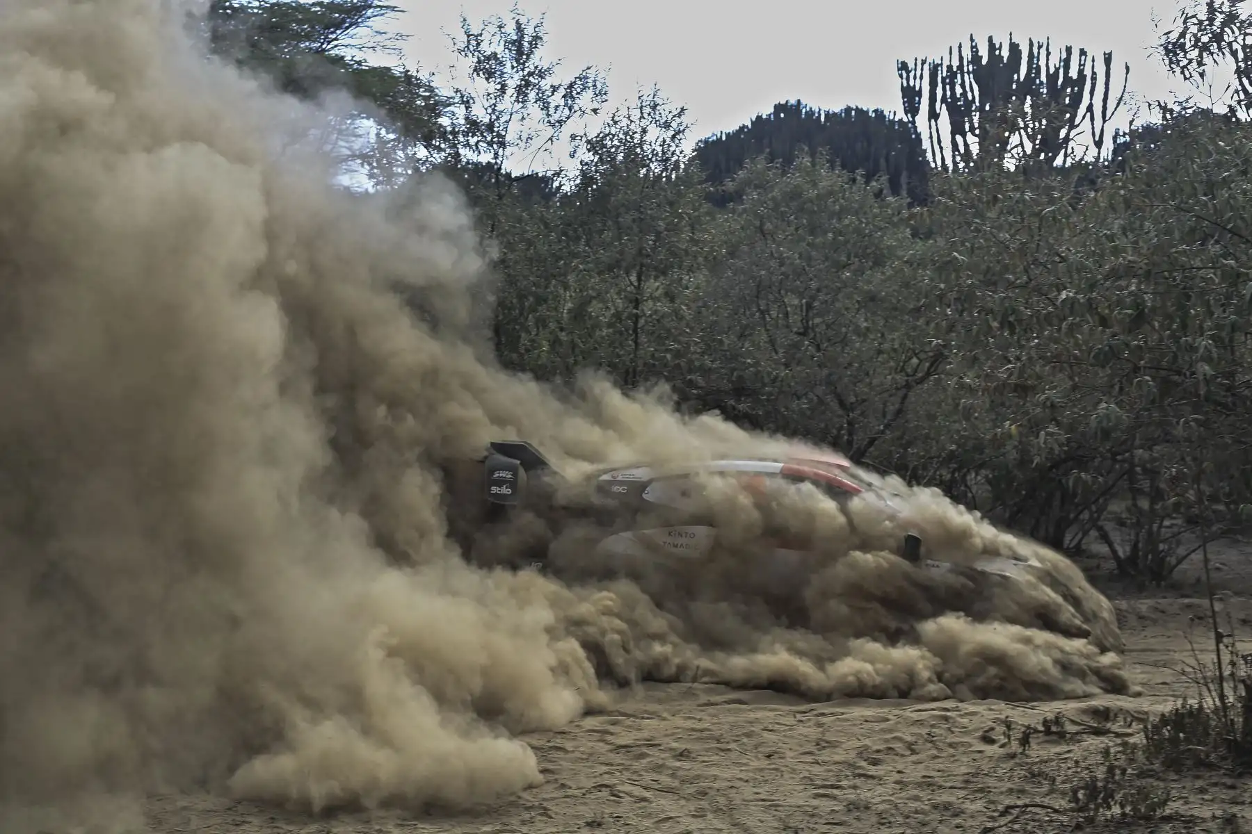 El equipo finlandés de rallyes conducido por Kalle Rovanpera y navegado por Jonne Halltunen se abre camino a través del polvo profundo a través de una sección boscosa en su Toyota GR Yaris durante la sección Kedong del Safari Rally Kenia 2022, la sexta ronda del Campeonato Mundial de Rallyes FIA. Foto: AFP