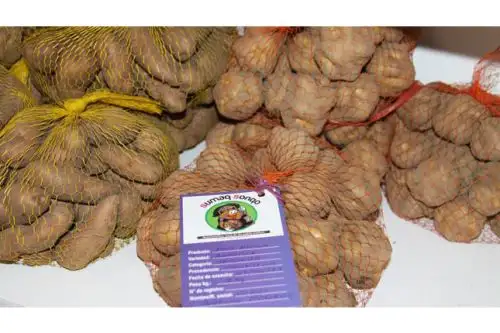 Día del Campesino: Indecopi impulsa competitividad de productores agrarios y agropecuarios