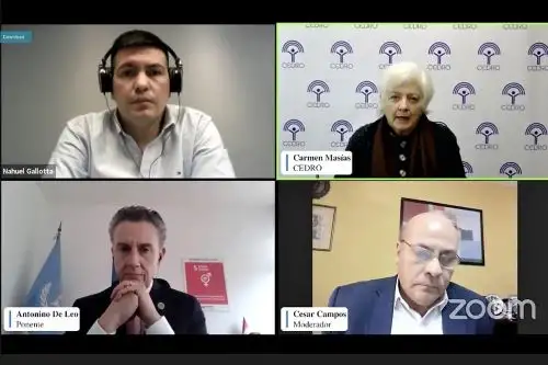 Expositores del webinar organizado por Cedro.