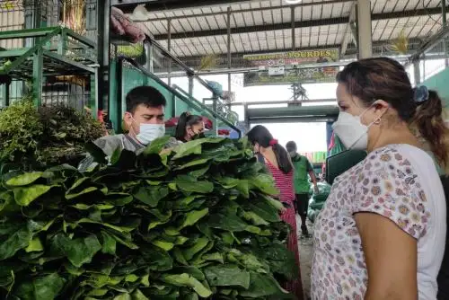 Foto: ANDINA/difusión.