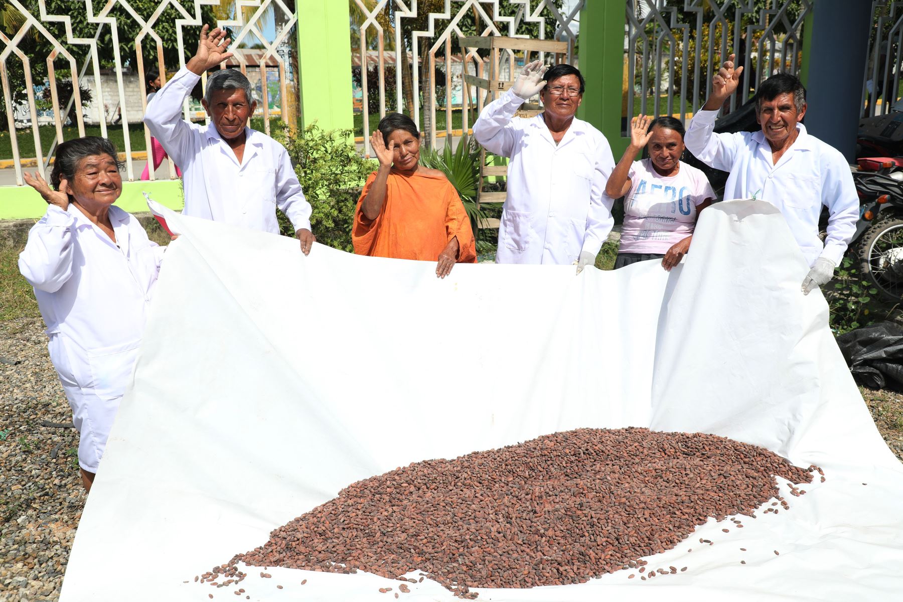 Adultos mayores de Pensión 65 ofrecen bombones de puro cacao