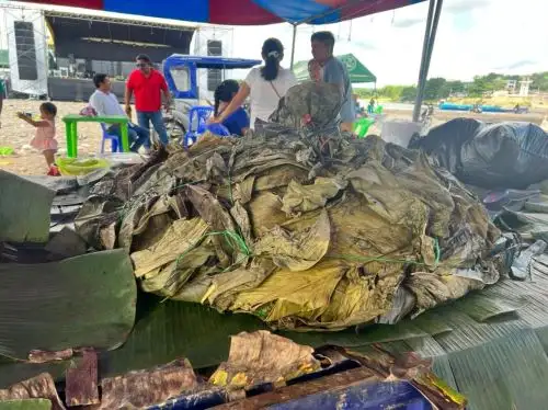 Las celebraciones por el I festival se desarrolló del 22 al 25 de junio, con pintorescos concursos de la selva, como el del palo encebado, del chancho encebado, de bebedores de masato y de cervezas, de fogatas y de nadadores sobre el río Tambo, entre otras peculiaridades.