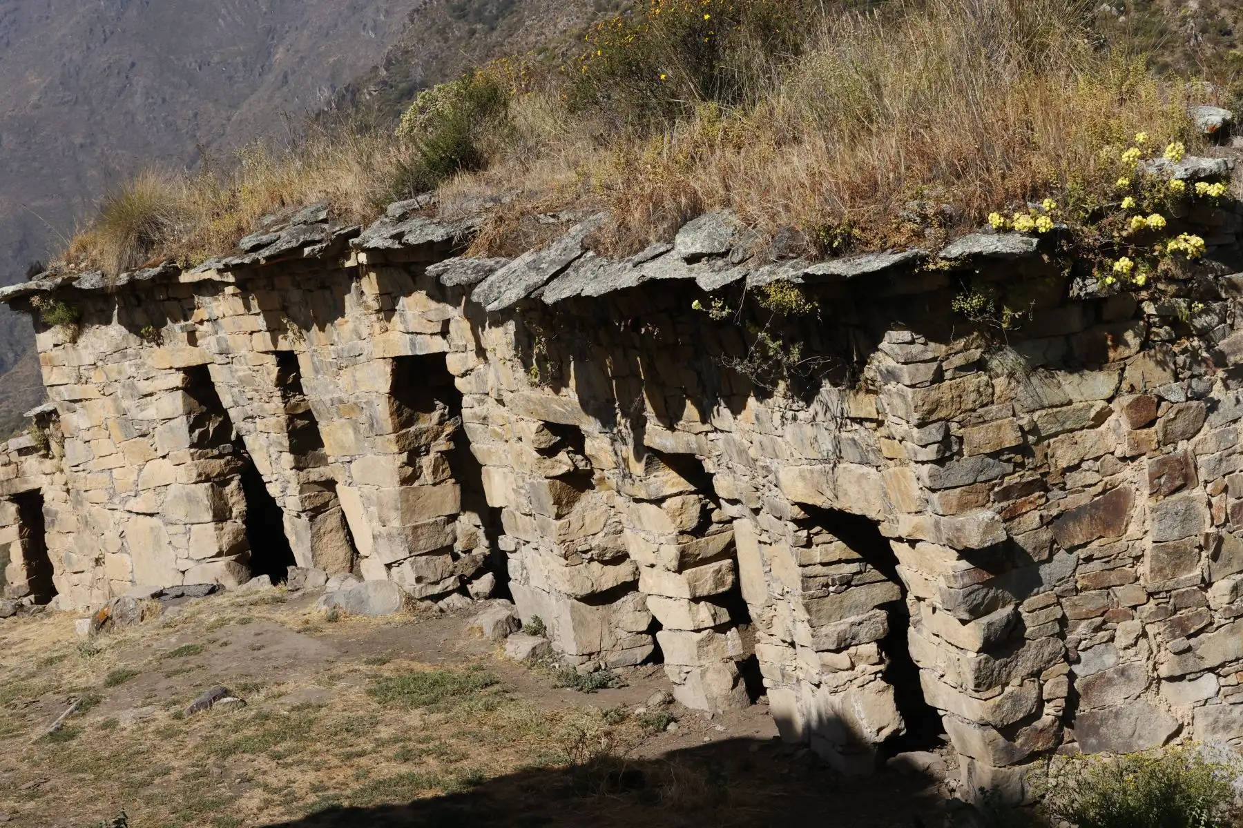 Hasta hace poco se pensaba que la ocupación de Rupak se remontaba a unos 1,000 años aproximadamente, pero una reciente investigación liderada por el arqueólogo peruano Pieter Van Dalen Luna revela que esta antigüedad es mayor y alcanza los 2,000 años. Foto: ANDINA/Melina Mejía