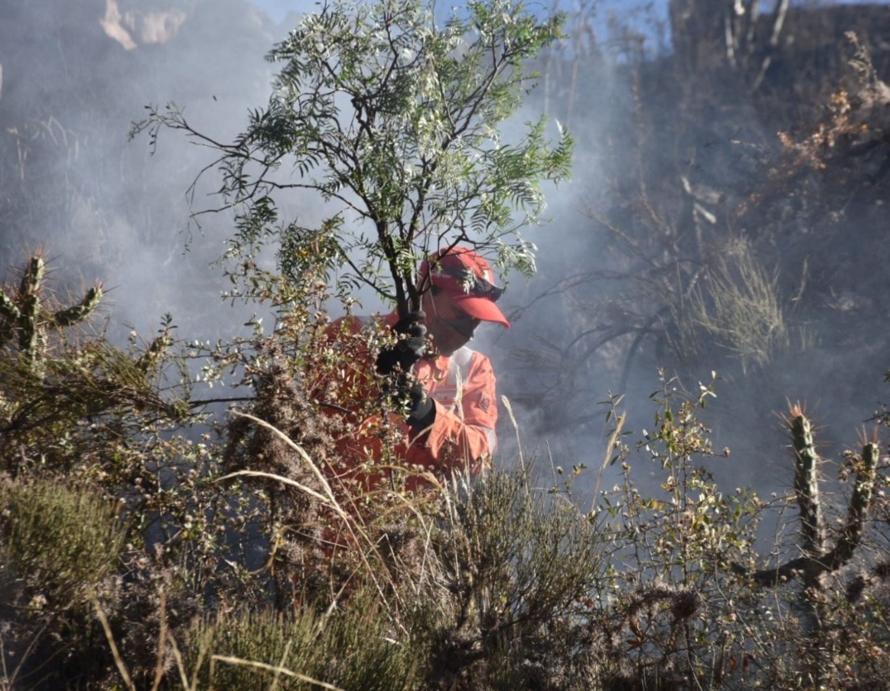 Bomberos y policías de Cusco controlan dos incendios forestales que se reportaron en la provincia de Quispicanchi. ANDINA/Difusión