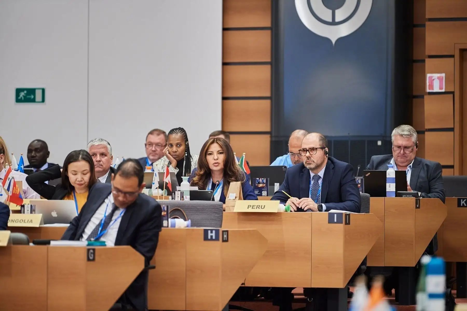 La Superintendenta Nacional Adjunta de Aduanas, Marilú Llerena Aybar, participó en representación del Perú en la reunión del Consejo de la Organización Mundial de Aduanas (OMA). Foto: Cortesía.