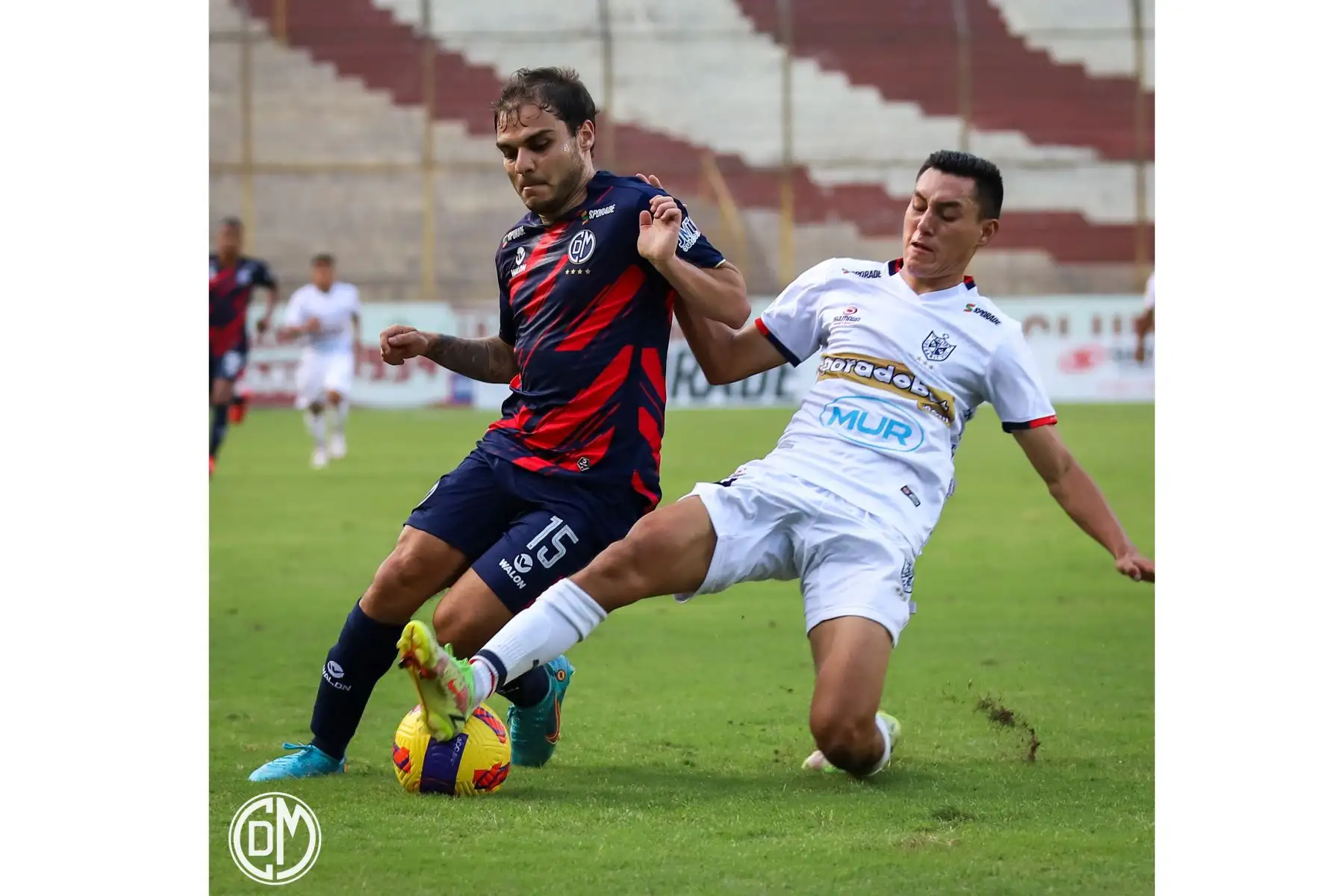 Con este resultado los del cuadro de la franja quedan décimos en la tabla de posiciones con 25 unidades, mientras que los santos suman 15 puntos acomodándose en el puesto 16.En la imagen el futbolista de Municipal, Piero Ratto.
Foto: @CCDMunicipal