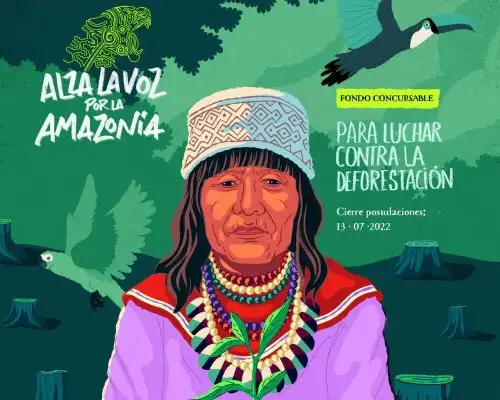 Fondo concursable financiará iniciativas de activistas y organizaciones indígenas para enfrentar el impacto de la crisis climática en la Amazonía. ANDINA/Difusión