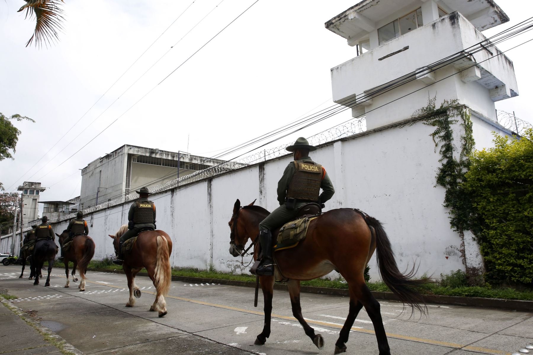 Miembros de la Policía custodian los exteriores de la cárcel de Tuluá del departamento de Valle del Cauca (Colombia). El número de fallecidos ascendió a 51, informaron fuentes oficiales. 
Foto: EFE