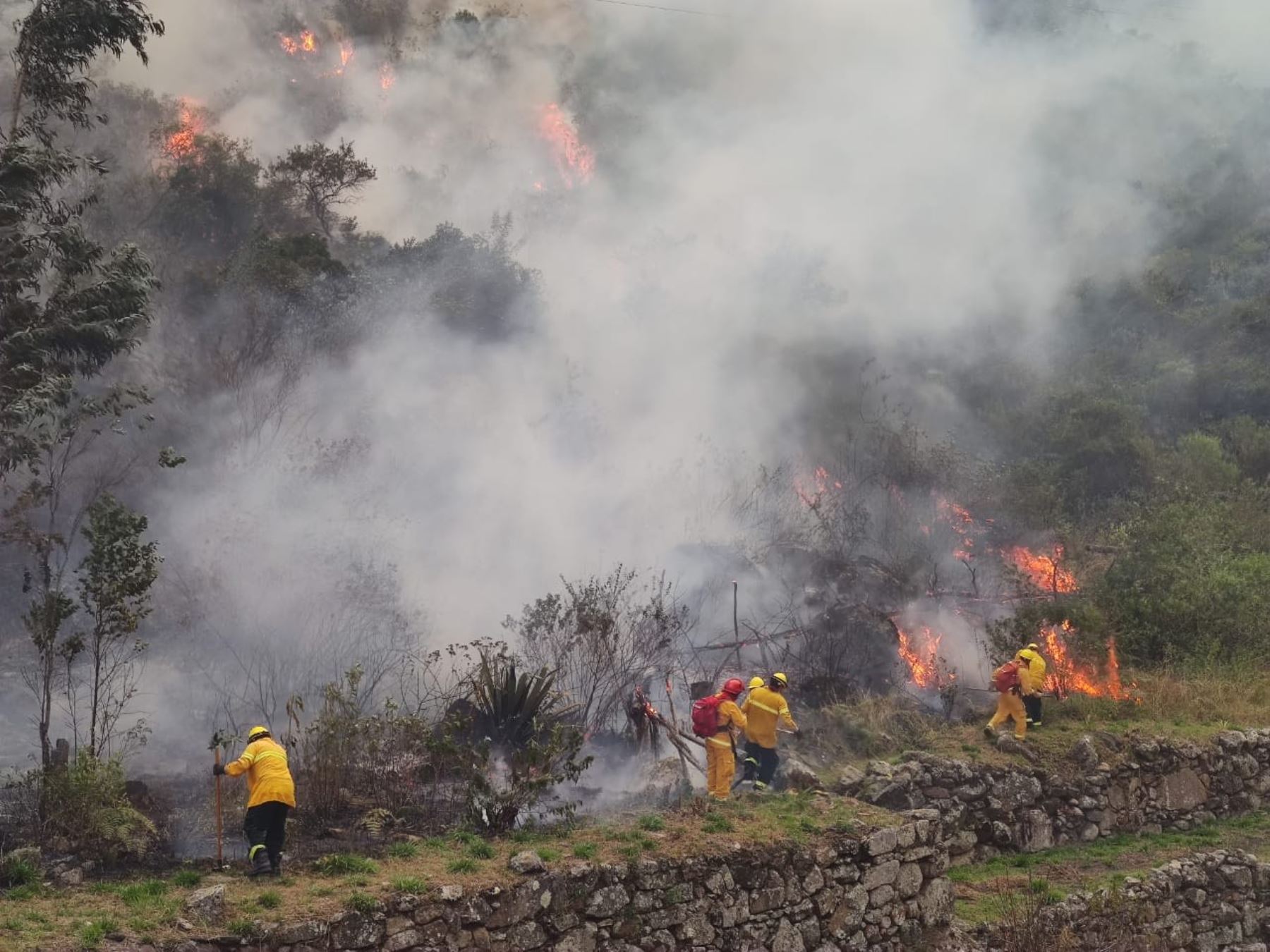 Cusco: brigadas combaten incendio forestal en el Santuario Histórico de Machu Picchu