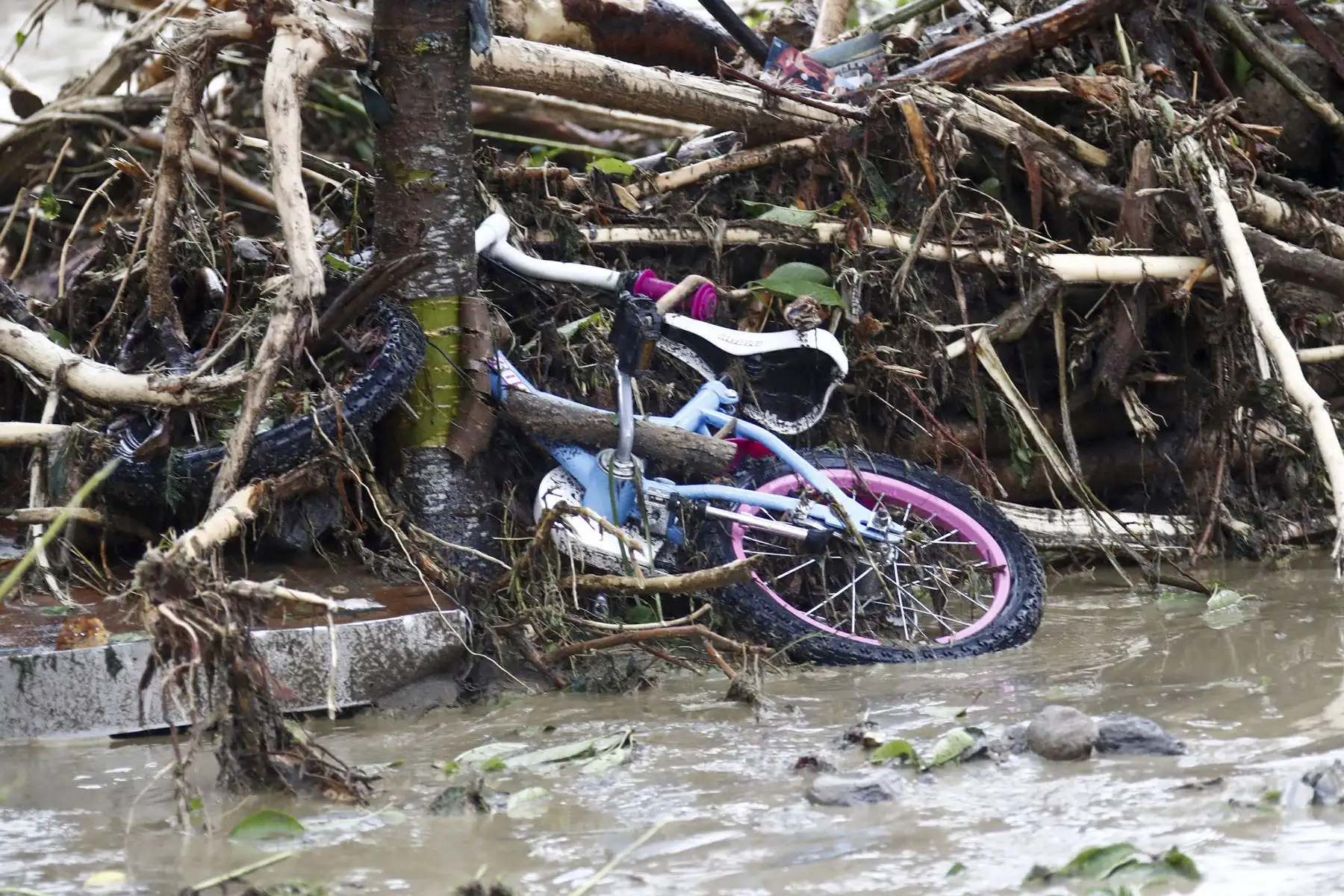 Se ve una bicicleta en medio de la madera arrastrada por los deslizamientos de tierra después de las fuertes lluvias en Treffen, en el distrito de Villach-Land del estado de Carintia, Austria. Foto: AFP