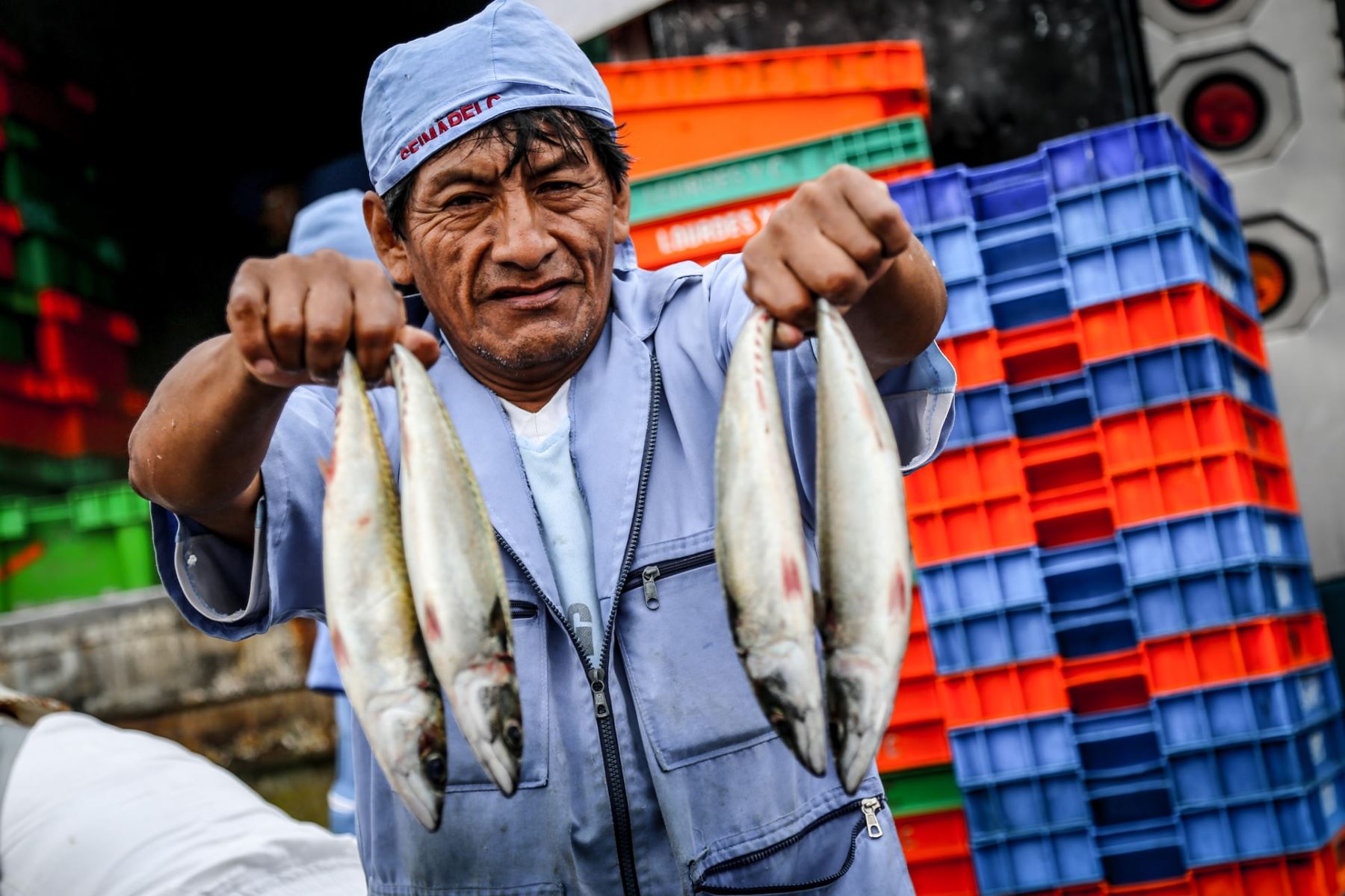 Vendedor de pescado mostrando ejemplares de merluza. ANDINA