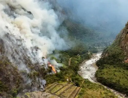 Cusco es el departamento con mayor cantidad de incendios forestales y mayor superficie territorial destruida por el fuego en lo que va del 2022, al registrar 38 casos confirmados y 4,830 hectáreas afectadas, informó el Servicio Nacional Forestal y de Fauna Silvestre. ANDINA/Difusión