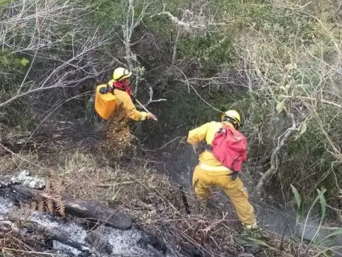 Bomberos forestales del Sernanp participan de las acciones para controlar los incendios forestales que se registran en la provincia de Abancay, región Apurímac, y afectan al Santuario Nacional de Ampay. Foto: ANDINA/difusión.
